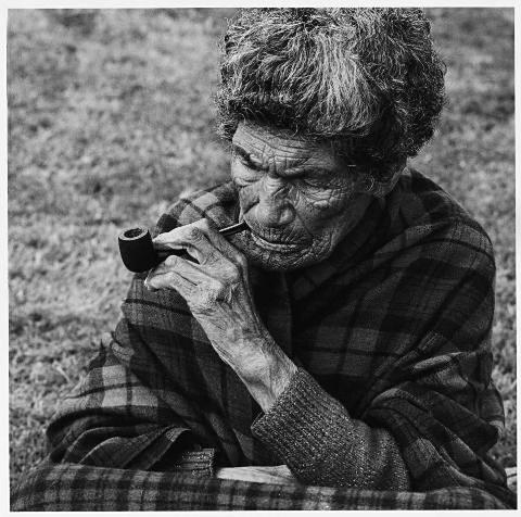 Ngakahikatea Whirihana, Waikato 1970
