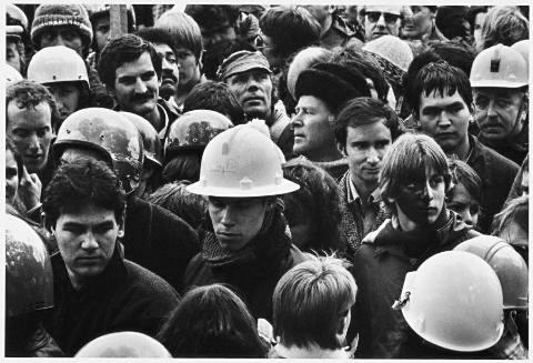 Auckland 1981