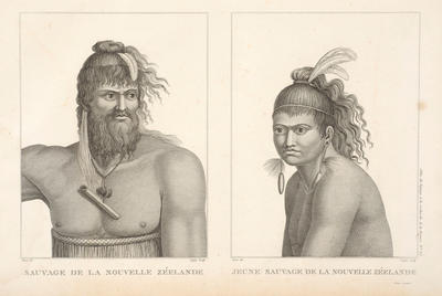 Sauvage de la Nouvelle Zeelande Jeune sauvage de la Nouvelle Zeelande