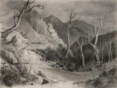 The Hutt Valley