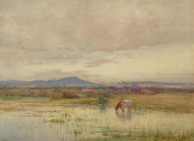 Mount Grey from marshland, Canterbury