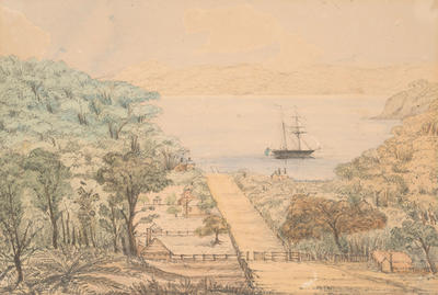 Momona Bay, Kawau Island