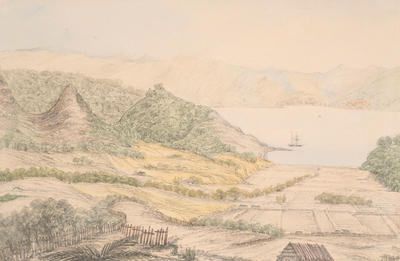 Pakenae Valley, Hokianga River