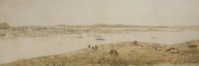 View of Onehunga