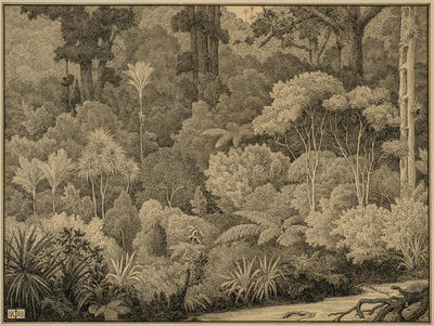 Primeval bush