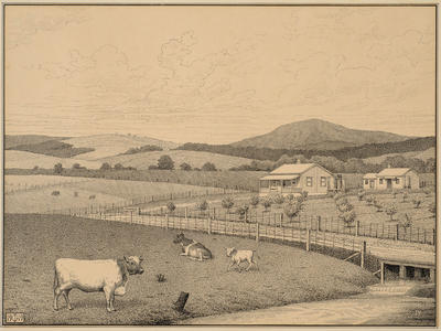 The Settler's homestead