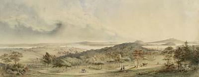 Auckland from the Domain