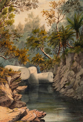 Forests