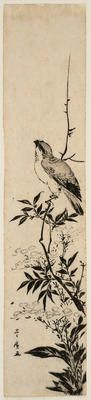 Shrike on a Branch of a Flowering Plant