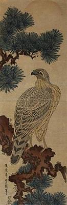 Falcon on a Pine Branch, Rising Sun Above