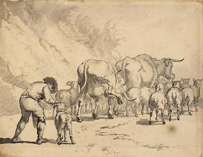 Two studies of cattle and figures