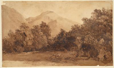 Landscape with trees and mountain