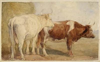 Two cows beside a stack