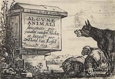 Animals