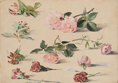 Honeysuckle Roses and Carnations