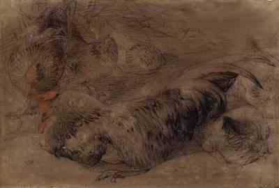 Study of Fowls