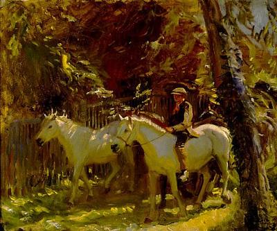 Boy and ponies