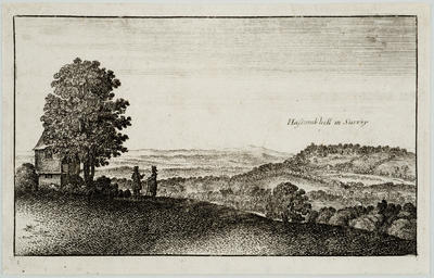 Topographical views