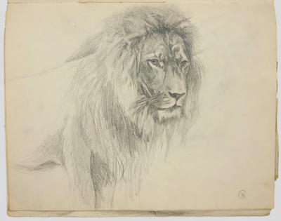 John Douglas Perrett Sketch Books