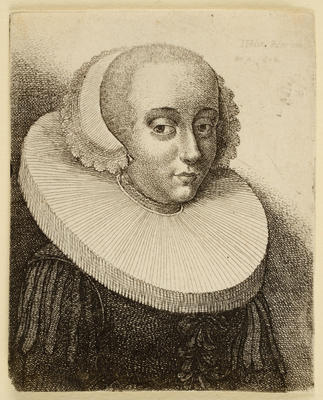Collars (neckwear)