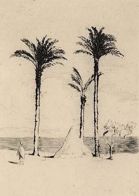 Palestinian Landscape
