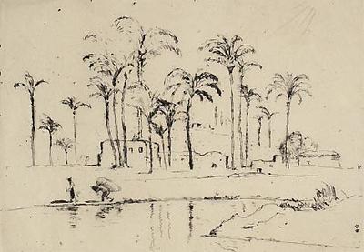 Palestinian Landscape