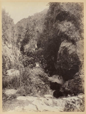 Rapids