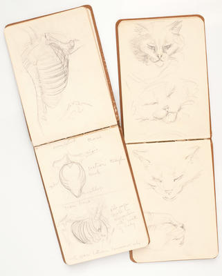 Molly Macalister Archive