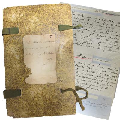 Notes towards Catalogue of Curios in the Art Gallery Grey Collection