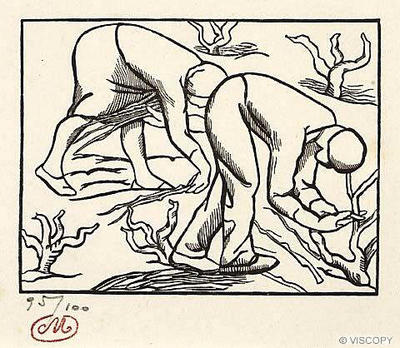 Vines