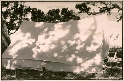Tent / Great Barrier Island