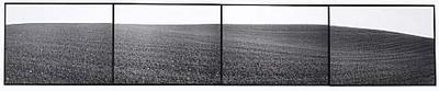 Timaru Landscape