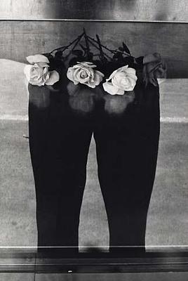 Roses (flowers)