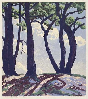 Pine silhouette