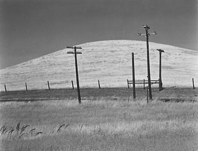 Hill and Telephone Poles