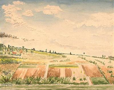 Arable land