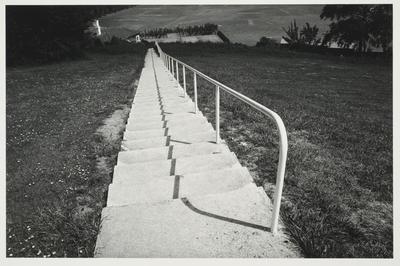 Saint Abbs Place, Dunedin