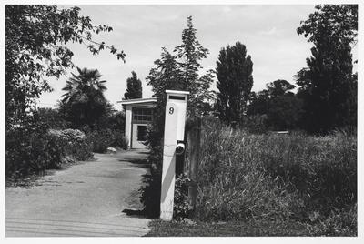 Number 9, Kauri Street, Christchurch