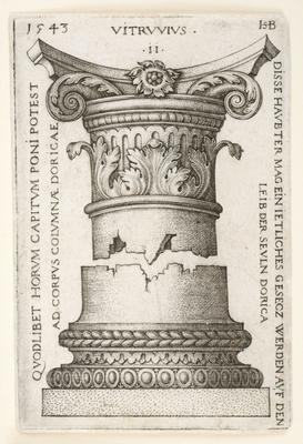 Acanthus