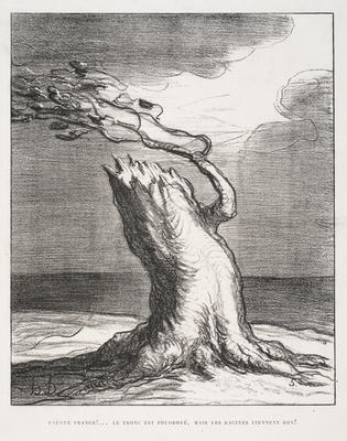 Roots