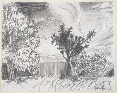 Fences