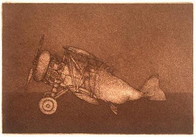 Biplanes