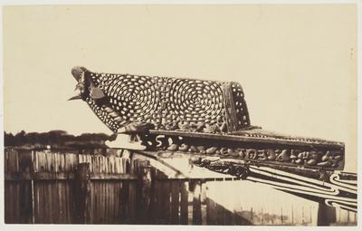 Tauihu