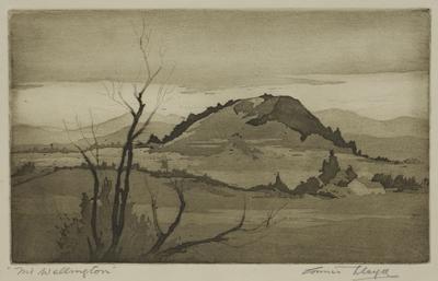 Mount Wellington