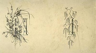 Initials (abbreviations)