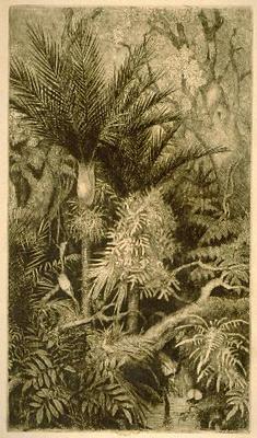 Fantails