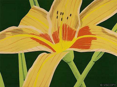 Day Lily II