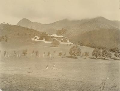 Plantation houses