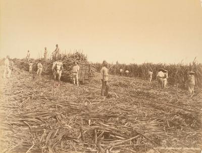 Farm workers