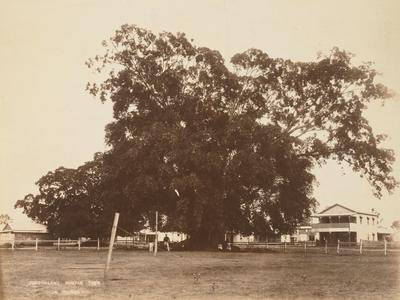 Housing